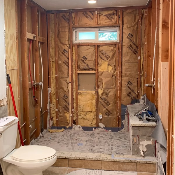 Bathroom stripped to studs with exposed insulation and PEX supply lines during remodel demolition