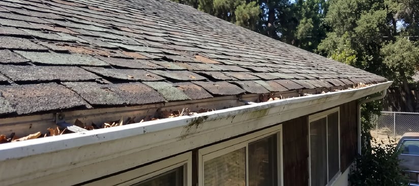 Severely curling asphalt shingles with granule loss above a debris-filled gutter on an older home