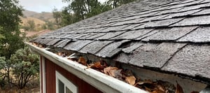 Curling, lifted shingle edges on a wet asphalt roof with leaves collected in the gutter below