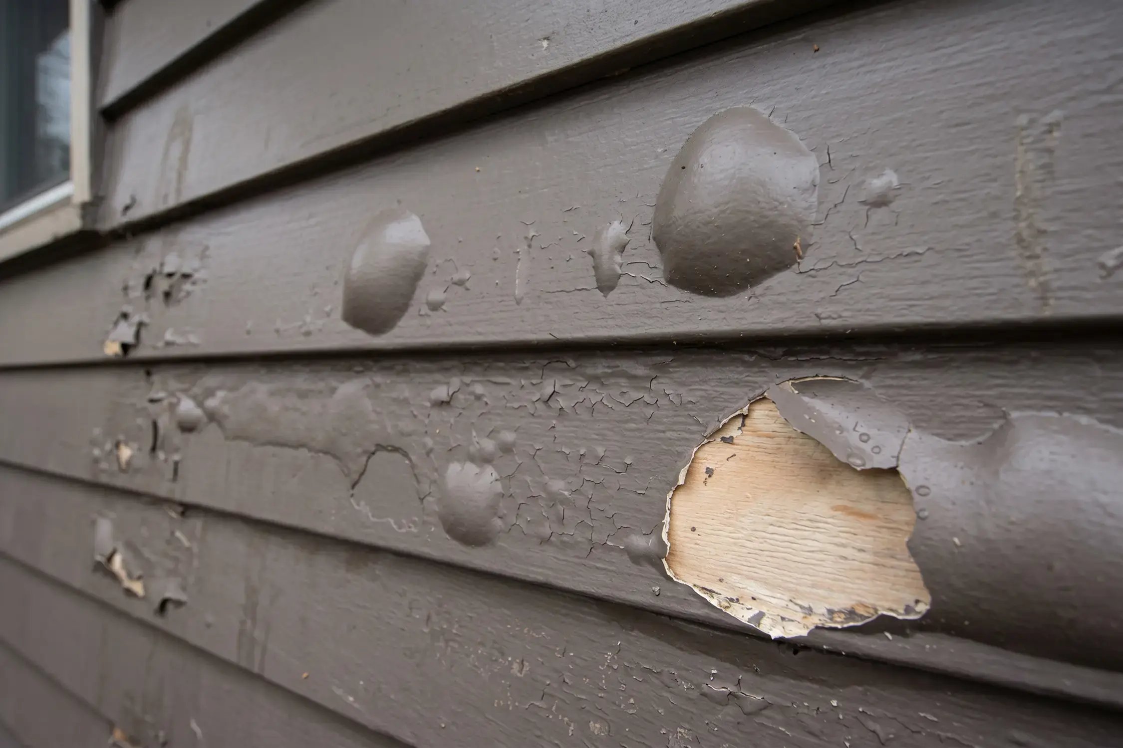 Brown exterior paint blistering and peeling off wood lap siding down to bare wood before repainting