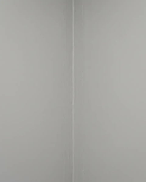Bonded waterproofing membrane with reinforcing fabric embedded along a shower wall inside corner